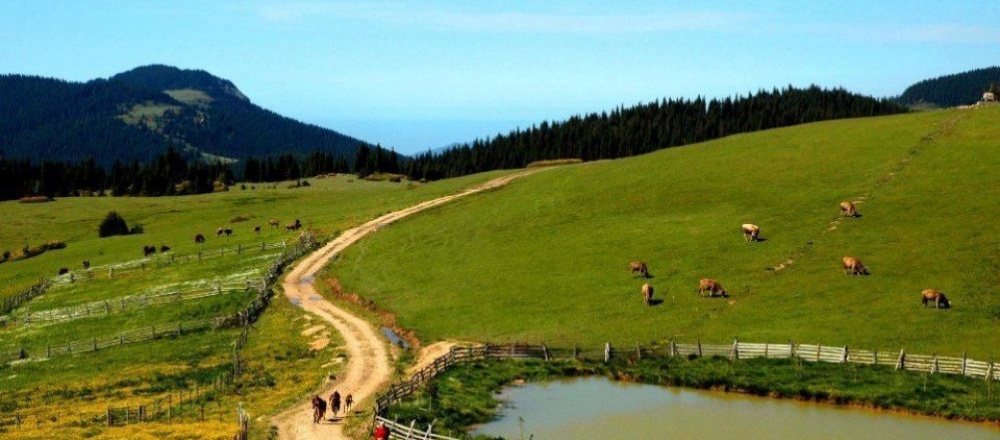 Tokat Topçam Yaylası