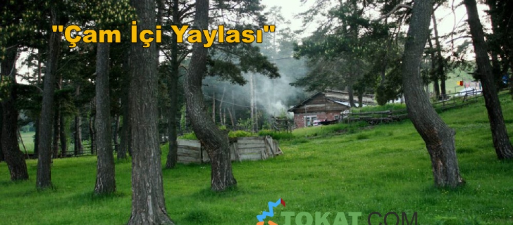 Çamiçi Yaylası TOKAT
