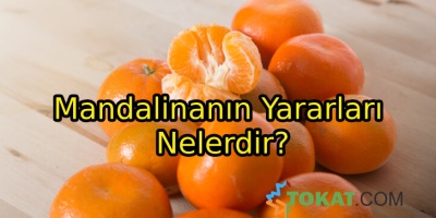 Mandalinanın Yararları Nelerdir?