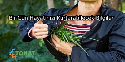 Bir Gün Hayatınızı Kurtarabilecek Bilgiler