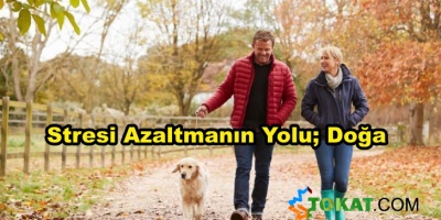 Her Gün 20 Dakika Doğada Olmak Stresi Azaltıyor