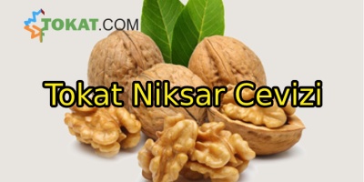 Tokat Niksar Cevizinin Ayırt Edici Özellikleri