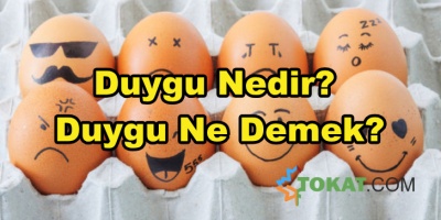 Duygu Nedir? Duygu Ne Demek?