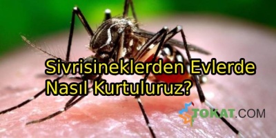 Sivrisineklerden Evlerde Nasıl Kurtuluruz?