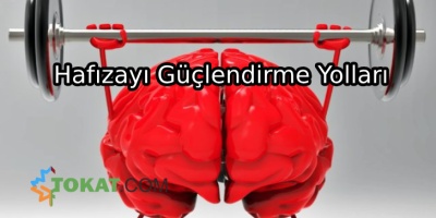 Hafızayı Güçlendirme Yolları