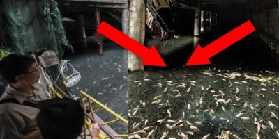 Bugüne Kadar Dünya’da Yapılan EN BÜYÜK Keşif!