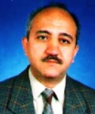 Salim Öğüt