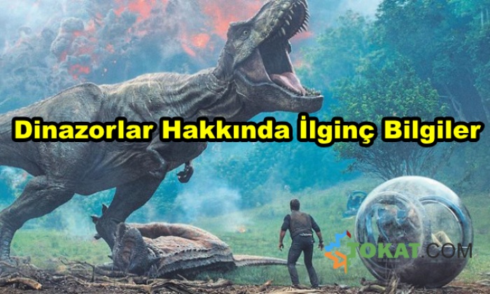 Dinozorlar İle İlgili İlginç Bilgiler