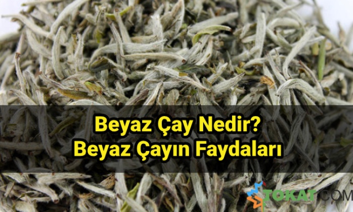 Beyaz Çayın Faydaları