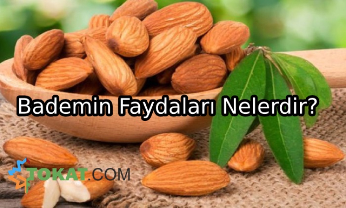 Badem Yemenin 8 Önemli Faydası