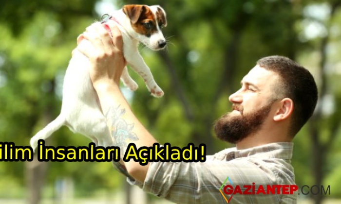 Bilim İnsanlarından Açıklama: Köpekler, Sakallı Erkeklerden Daha Temiz