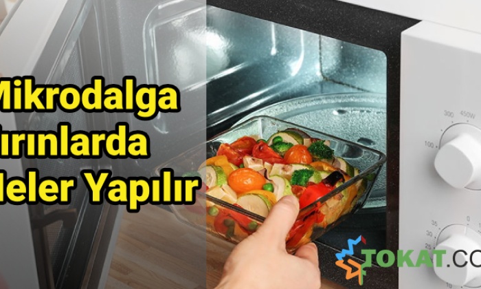 Mikrodalga Fırınlarda Neler Yapılır