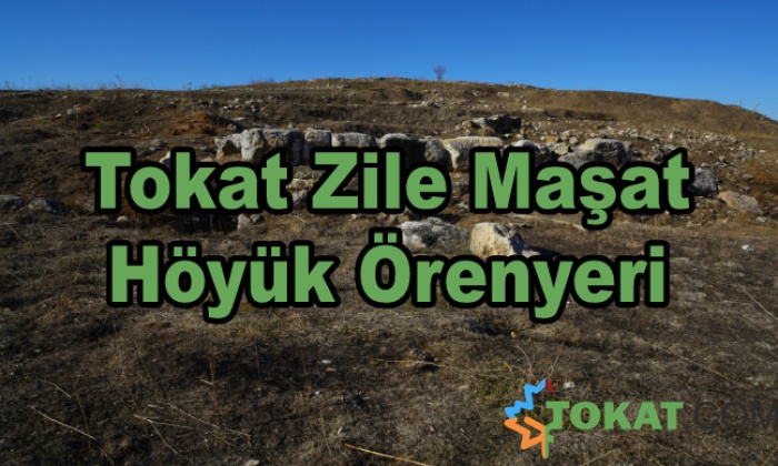 Tokat Zile Maşat Höyük Örenyeri