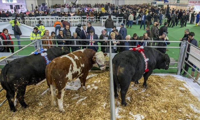 Tokat'ta Tarım ve Hayvancılık Fuarı