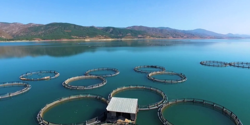 Tokat Almus Baraj Gölü