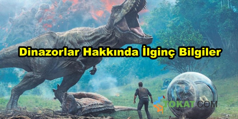 Dinozorlar İle İlgili İlginç Bilgiler