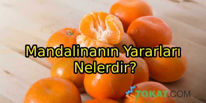 Mandalinanın Yararları Nelerdir?