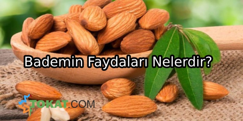 Badem Yemenin 8 Önemli Faydası