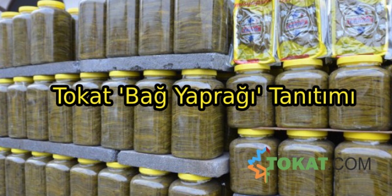 Tokat 'Bağ Yaprağı' Tanıtımı