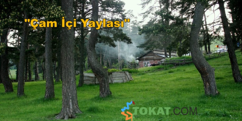 Çamiçi Yaylası TOKAT