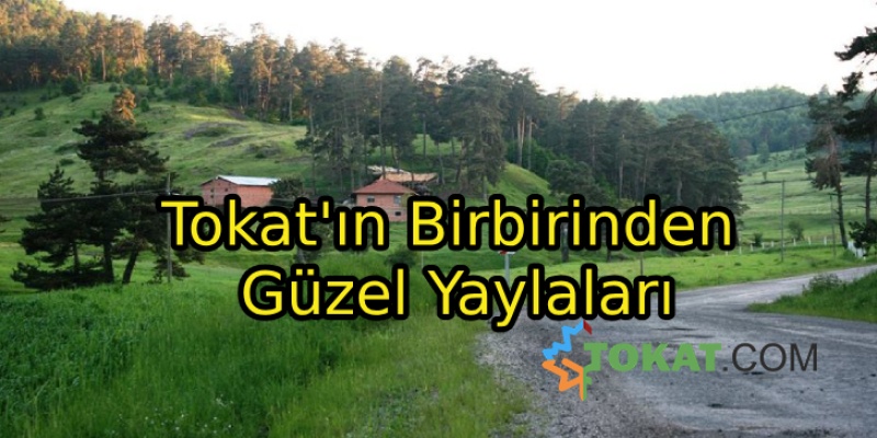 Tokat'ın Birbirinden Güzel Yaylaları