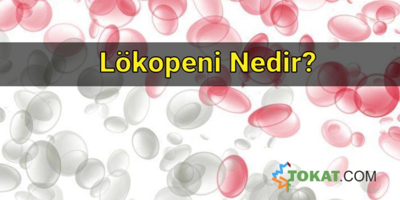 Lökopeni Nedir?