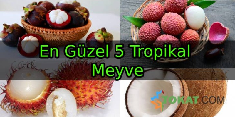 En Güzel 5 Tropikal Meyve