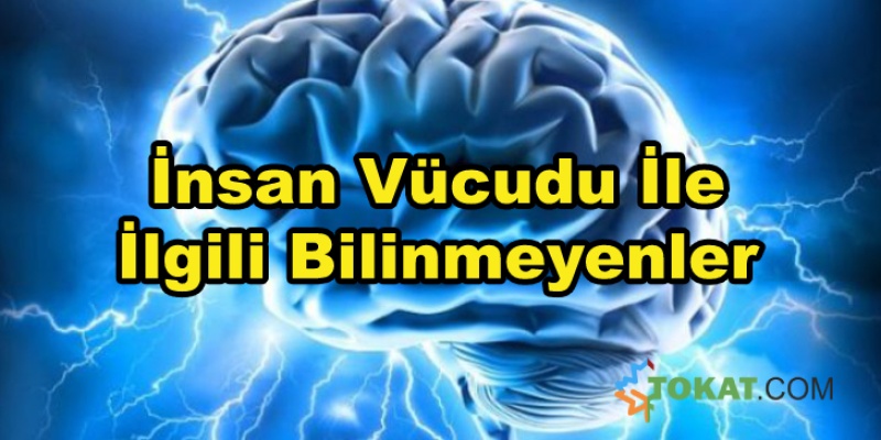 İnsan Vücudu Hakkında Mutlaka Bilmeniz Gereken Bilgiler