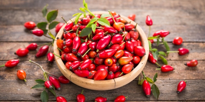 Kuşburnu Çayının Bilinmeyen Faydaları