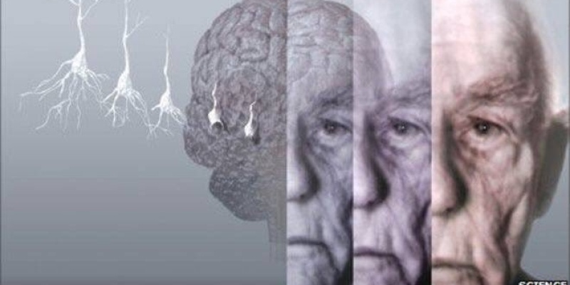 Hafızamızın Bir Kısmı Biz Yaşlandıkça Güçleniyor mu?