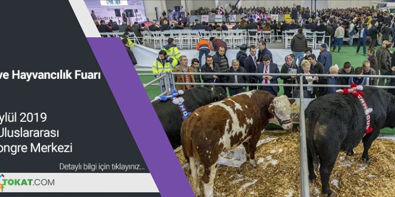 Tokat'ta Tarım ve Hayvancılık Fuarı