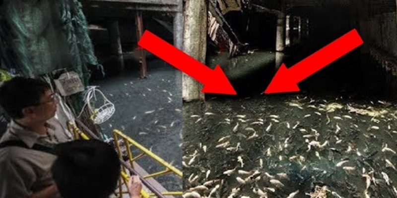 Bugüne Kadar Dünya’da Yapılan EN BÜYÜK Keşif!