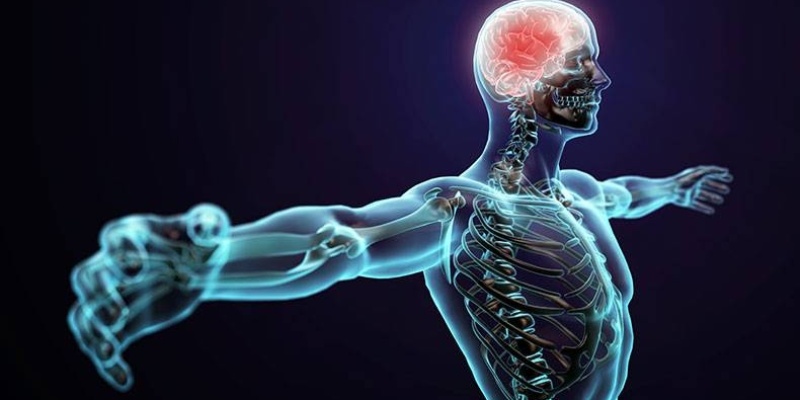 İnsan Vücudunun GÜÇ Limitleri